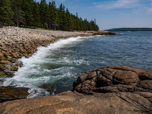 310 Red Point Rd, Swans Island, ME 04685 - photo 67