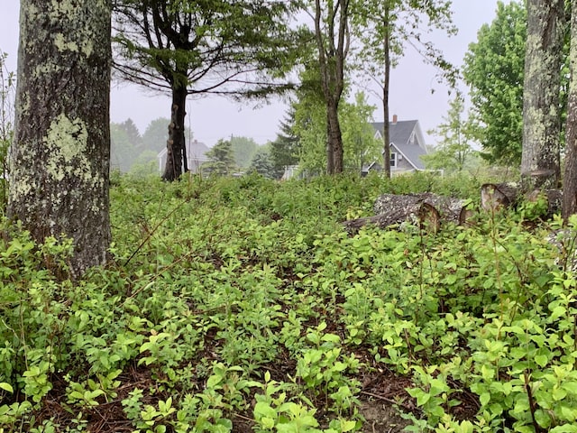 361 Water St, Addison, ME 04606 - view of undeveloped land