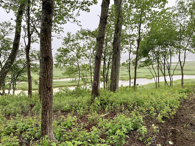 361 Water St, Addison, ME 04606 - water view