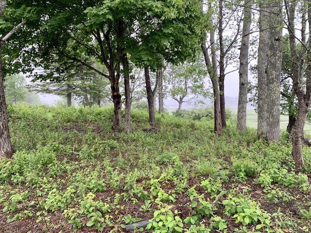 361 Water St, Addison, ME 04606 - view of undeveloped land