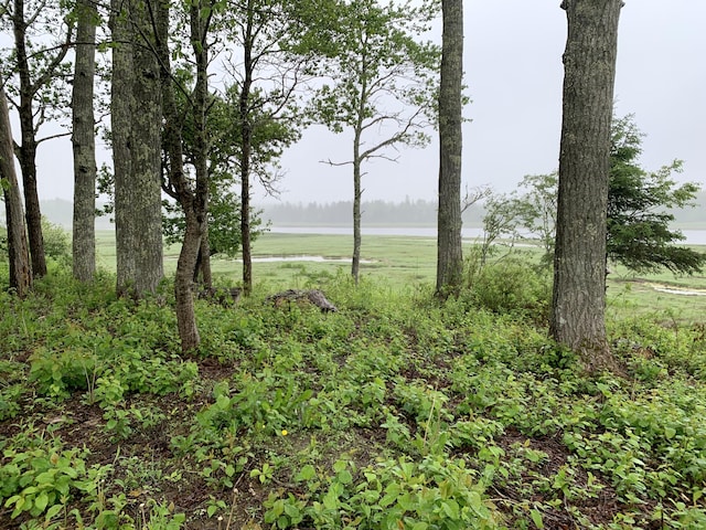 361 Water St, Addison, ME 04606 - view of undeveloped land