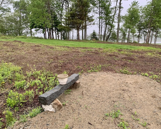 361 Water St, Addison, ME 04606 - view of yard