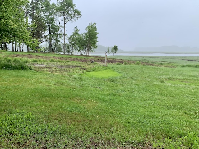 361 Water St, Addison, ME 04606 - view of yard
