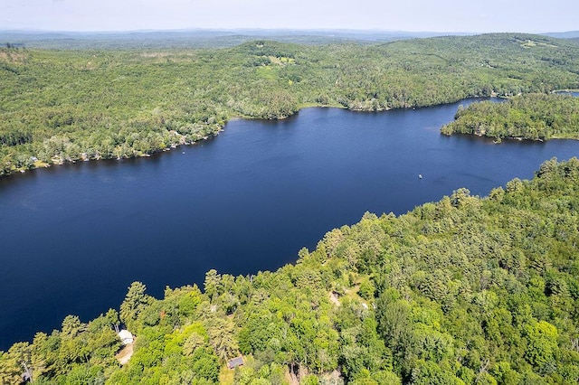 42 Tall Pines Rd, Hartland, ME 04943 - photo 1