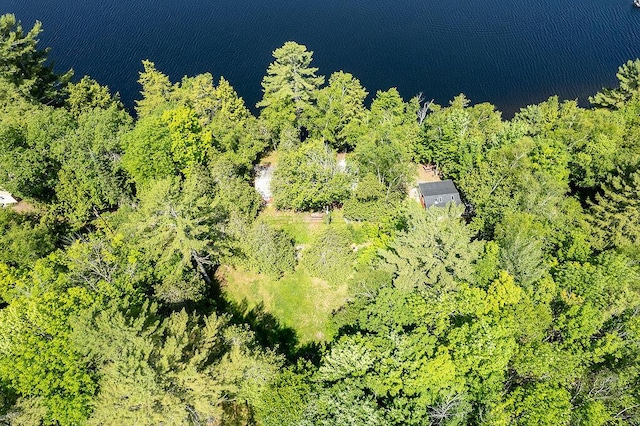 42 Tall Pines Rd, Hartland, ME 04943 - photo 49