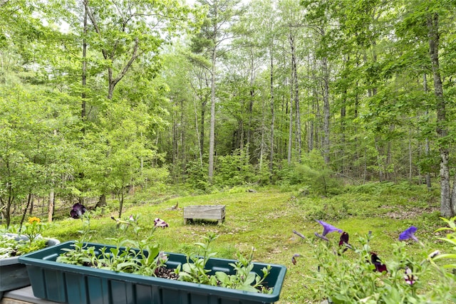 17 Eagle Ln, Damariscotta, ME 04543 - view of yard featuring a wooded view