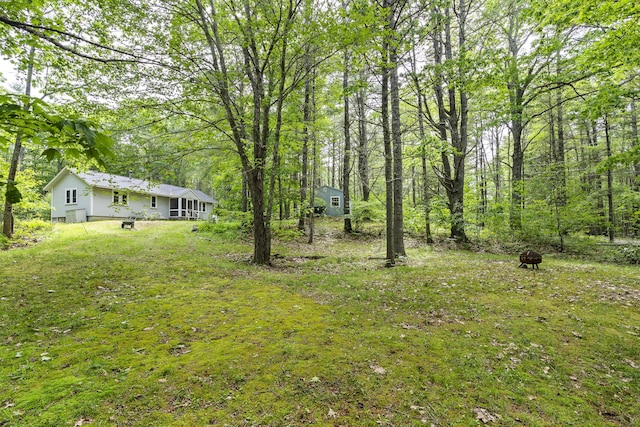 17 Eagle Ln, Damariscotta, ME 04543 - view of grassy yard featuring an outdoor fire pit, a shed, and a forest view