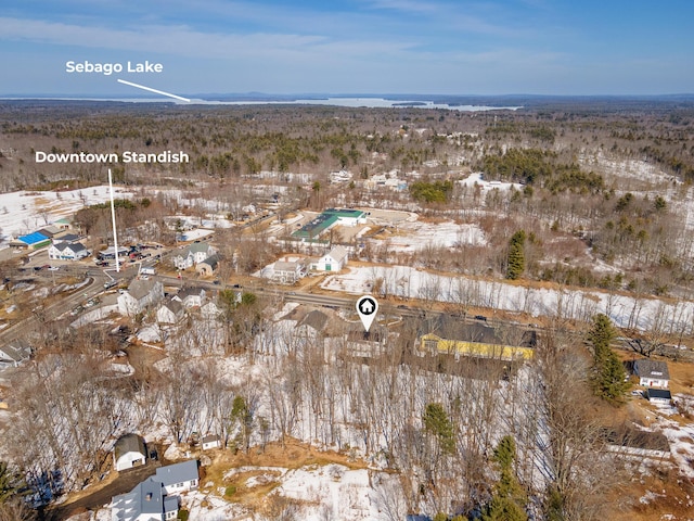 27 Ossipee Trl E Unit 1, Standish, ME 04084 - photo 75