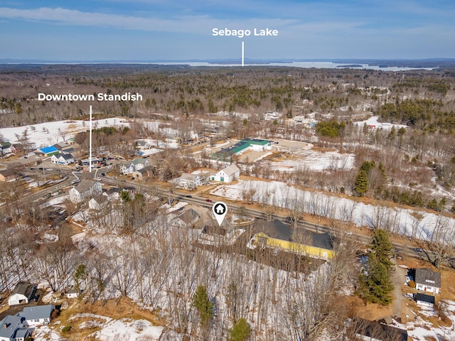 27 Ossipee Trl E Unit 1, Standish, ME 04084 - photo 76