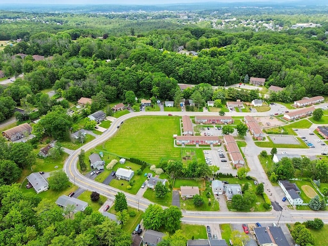 154 Rideout Ave, Lewiston, ME 04240 - aerial view of a forest