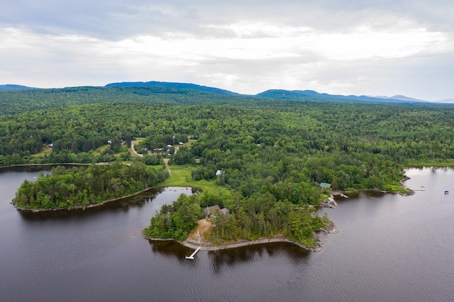 67 Upper Narrows Rd, Long Pond Twp, ME 04945 - drone / aerial view of a forest and a water and mountain view