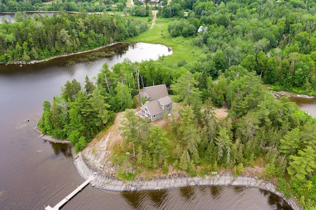 67 Upper Narrows Rd, Long Pond Twp, ME 04945 - aerial overview of property's location with a nearby body of water and a forest