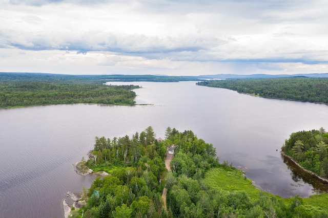 67 Upper Narrows Rd, Long Pond Twp, ME 04945 - aerial view of a heavily wooded area and a nearby body of water