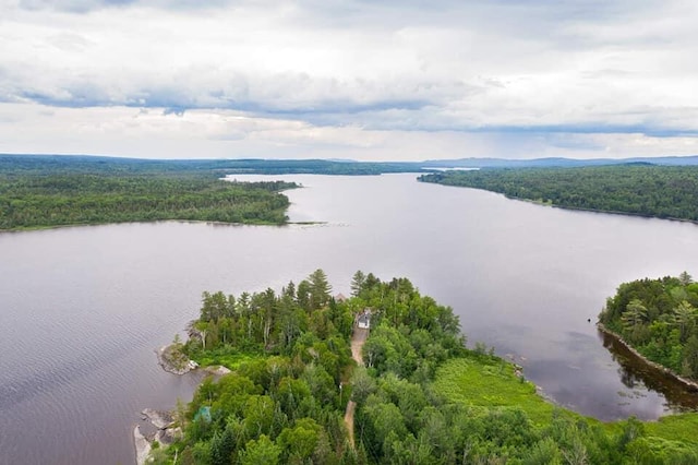 67 Upper Narrows Rd, Long Pond Twp, ME 04945 - bird's eye view of a forest and a nearby body of water