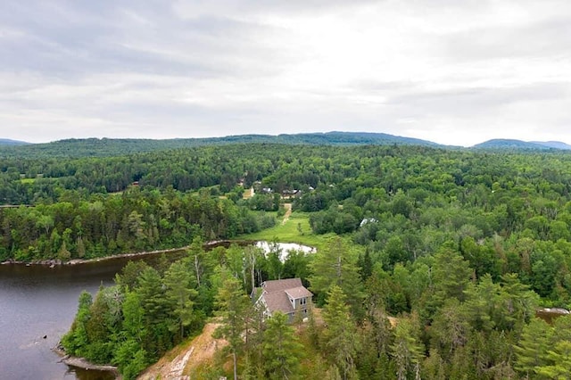 67 Upper Narrows Rd, Long Pond Twp, ME 04945 - bird's eye view of a heavily wooded area and a nearby body of water