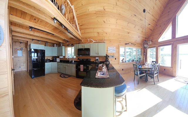 67 Upper Narrows Rd, Long Pond Twp, ME 04945 - kitchen featuring black appliances, light wood-type flooring, wood walls, track lighting, and wooden ceiling