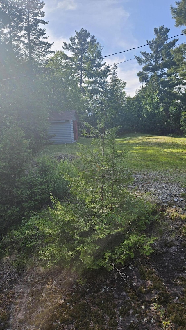 67 Upper Narrows Rd, Long Pond Twp, ME 04945 - view of yard with a wooded view and an outbuilding
