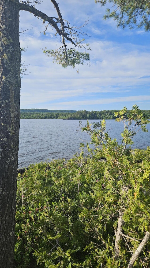 67 Upper Narrows Rd, Long Pond Twp, ME 04945 - water view