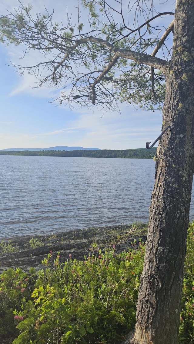 67 Upper Narrows Rd, Long Pond Twp, ME 04945 - water view