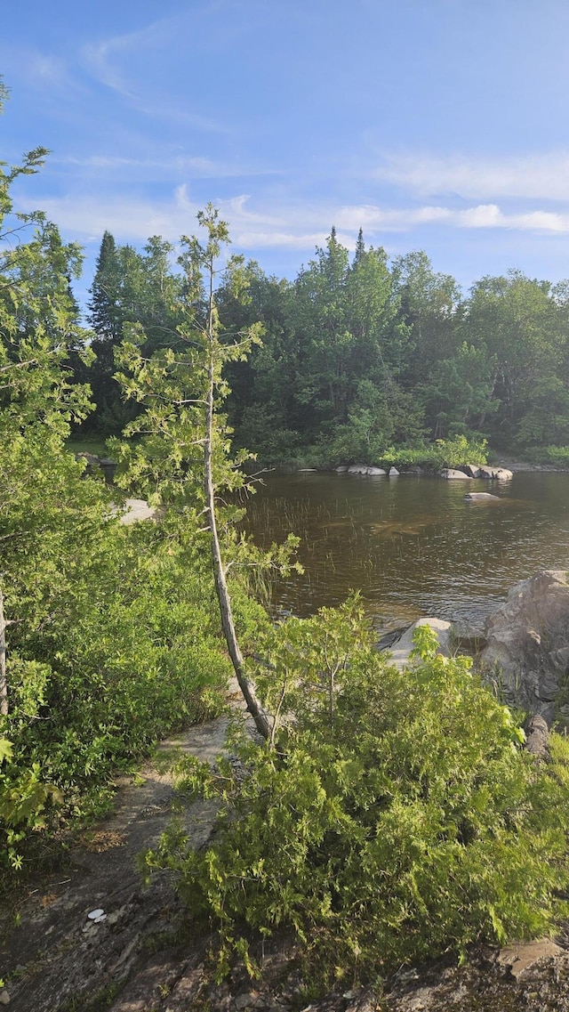 67 Upper Narrows Rd, Long Pond Twp, ME 04945 - water view with a forest