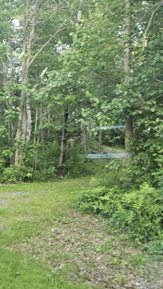 67 Upper Narrows Rd, Long Pond Twp, ME 04945 - view of nature