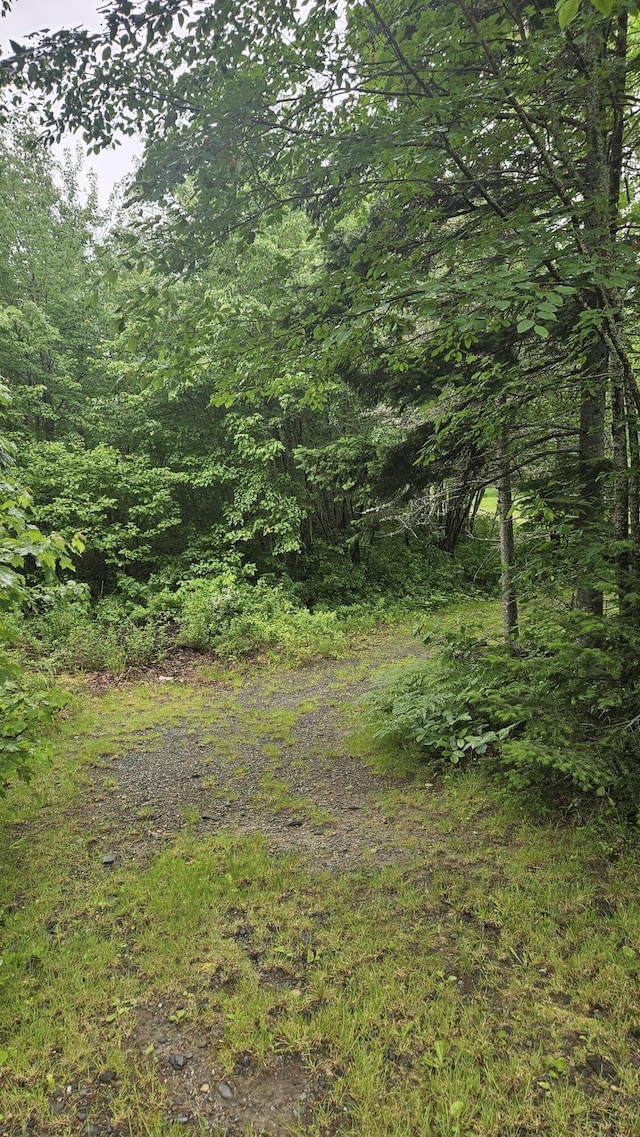 67 Upper Narrows Rd, Long Pond Twp, ME 04945