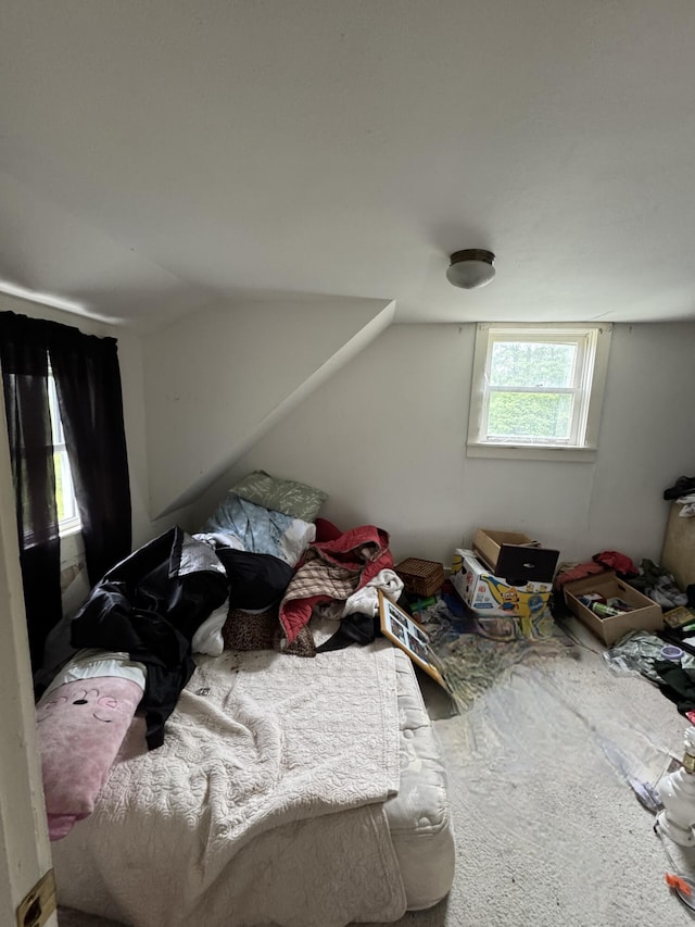 780 Cutler Rd, Machiasport, ME 04655 - photo 15