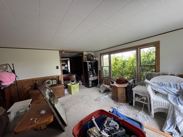 780 Cutler Rd, Machiasport, ME 04655 - photo 8