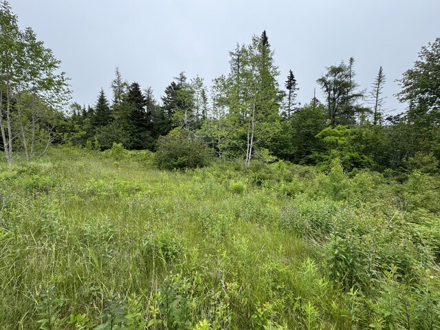 780 Cutler Rd, Machiasport, ME 04655 - photo 18