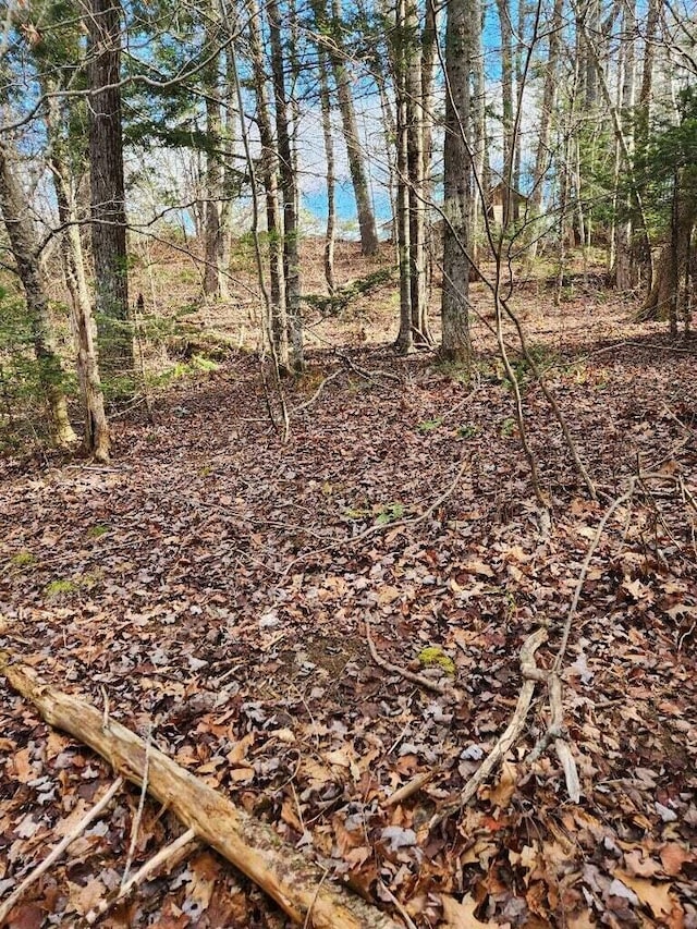 86 Oak Hill Rd, Belfast, ME 04915 - photo 4