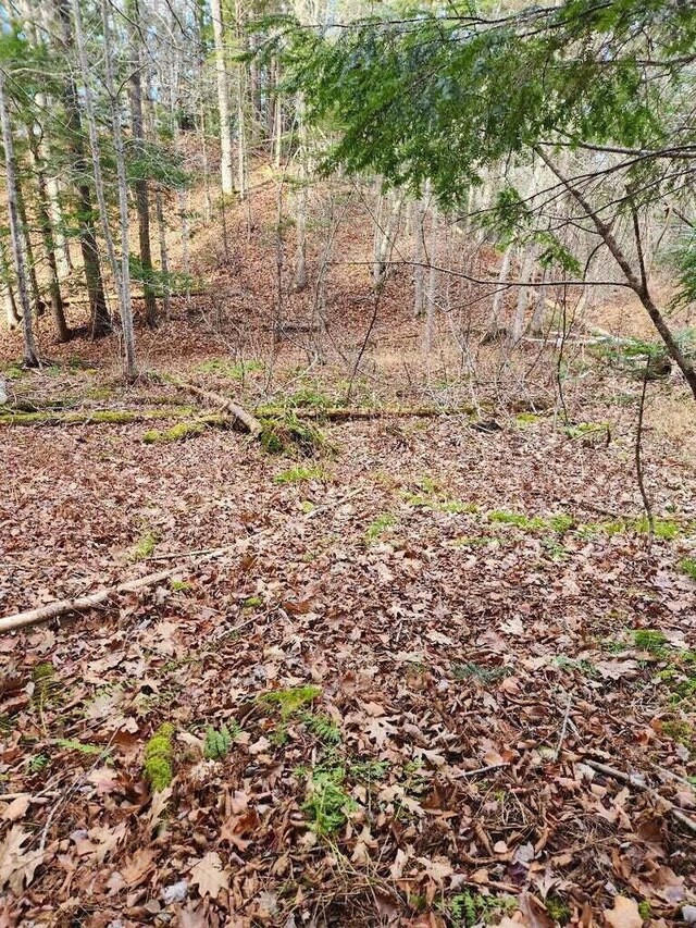 86 Oak Hill Rd, Belfast, ME 04915 - photo 6