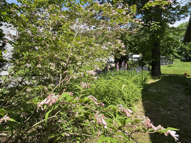 8 Sterling St, Ellsworth, ME 04605 - photo 57
