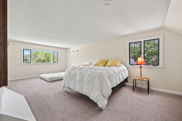 555 Pool St, Biddeford, ME 04005 - bedroom featuring carpet, a textured ceiling, and vaulted ceiling