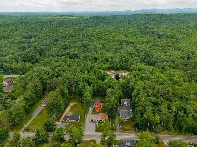 1522 Richville Rd, Standish, ME 04084 - aerial view of property and surrounding area featuring a heavily wooded area