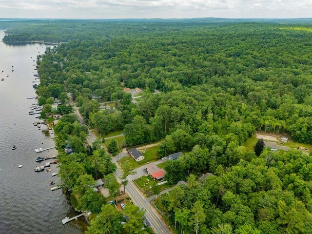 1522 Richville Rd, Standish, ME 04084 - aerial view of a heavily wooded area and a large body of water