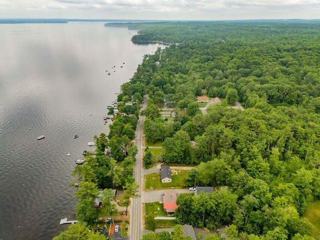 1522 Richville Rd, Standish, ME 04084 - bird's eye view of a large body of water and a forest