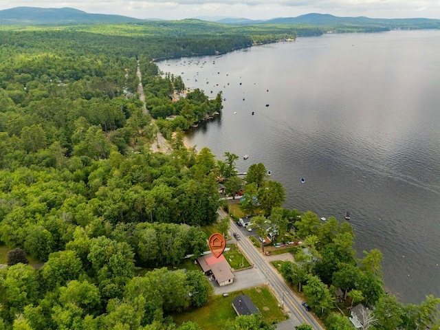 1522 Richville Rd, Standish, ME 04084 - aerial view of a water and mountain view and a forest