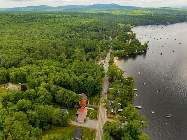 1522 Richville Rd, Standish, ME 04084 - drone / aerial view of a heavily wooded area and a water and mountain view