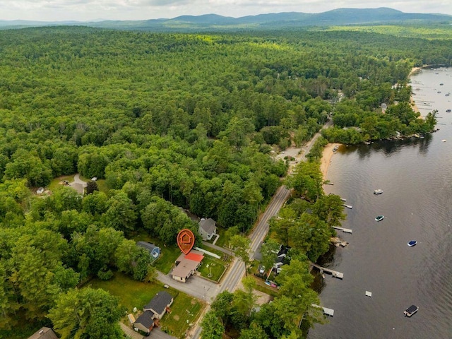 1522 Richville Rd, Standish, ME 04084 - drone / aerial view of a forest and a water and mountain view
