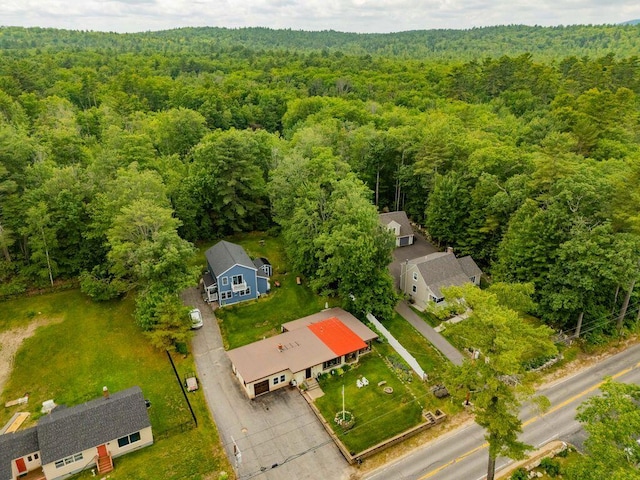 1522 Richville Rd, Standish, ME 04084 - bird's eye view of a heavily wooded area