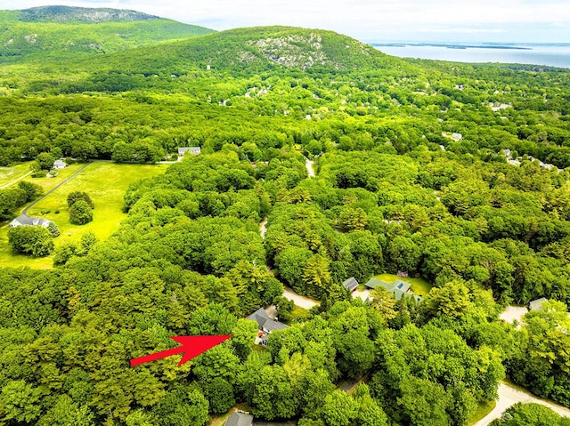 42 Stonehurst Dr, Camden, ME 04843 - drone / aerial view of a forest and a mountain backdrop
