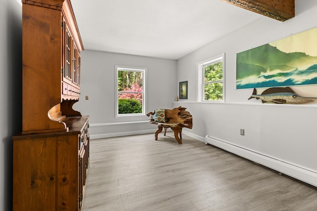 2 Teressa Ln, York, ME 03909 - living area with a baseboard heating unit, plenty of natural light, and light wood-style flooring