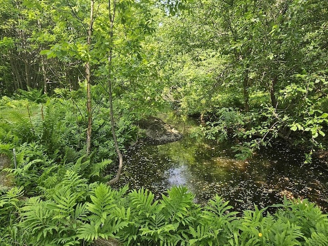 28 Varnum Pond Rd, Temple, ME 04984 - view of local wilderness