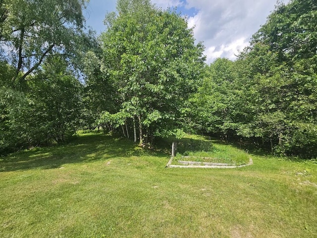 28 Varnum Pond Rd, Temple, ME 04984 - view of grassy yard with a vegetable garden