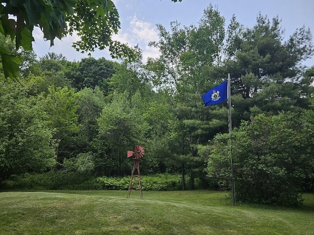 28 Varnum Pond Rd, Temple, ME 04984 - view of community featuring a lawn and a wooded view