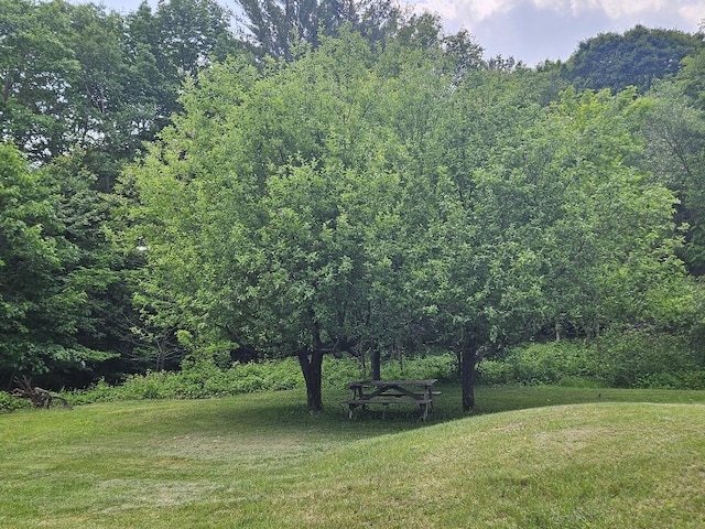 28 Varnum Pond Rd, Temple, ME 04984 - view of green lawn with a wooded view