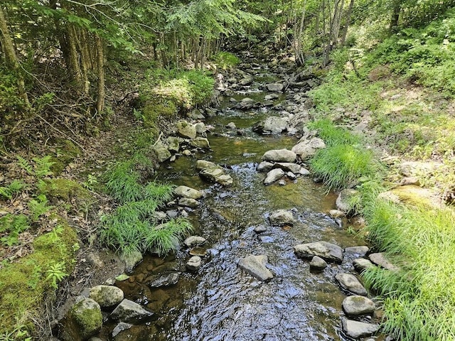 28 Varnum Pond Rd, Temple, ME 04984 - view of nature
