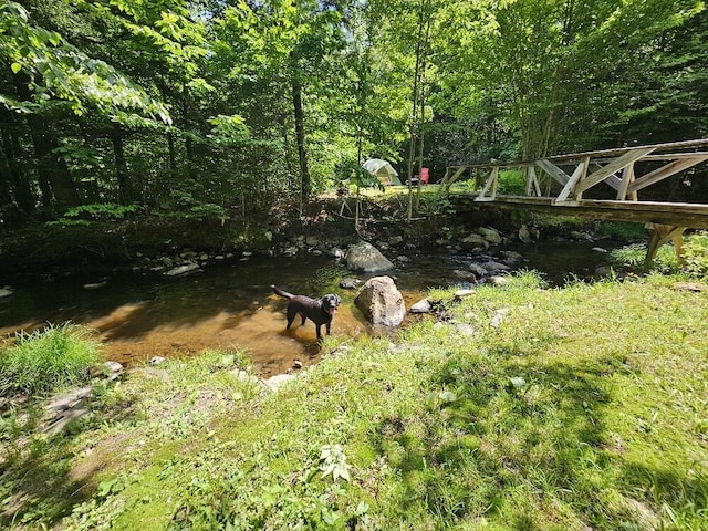 28 Varnum Pond Rd, Temple, ME 04984 - view of yard