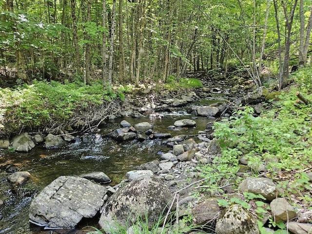 28 Varnum Pond Rd, Temple, ME 04984 - view of nature