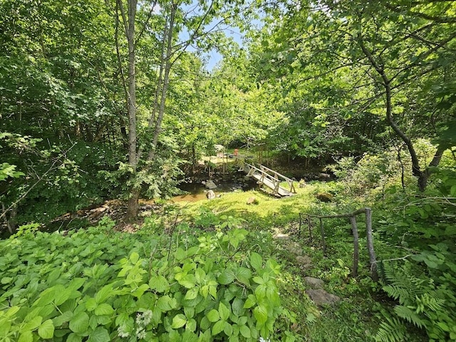 28 Varnum Pond Rd, Temple, ME 04984 - view of wooded area